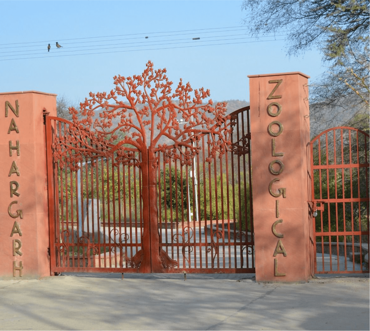 Nahargarh Biological Park min