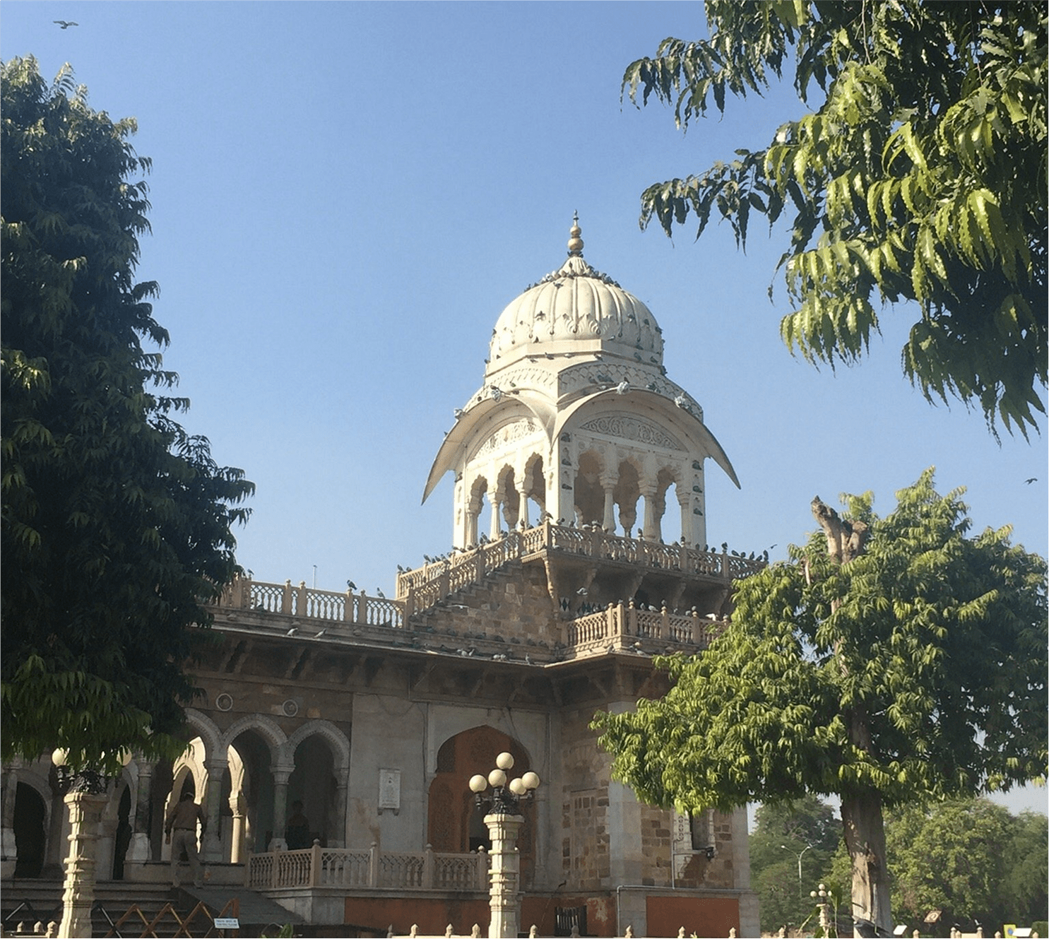 Ram Niwas Garden Pathways min