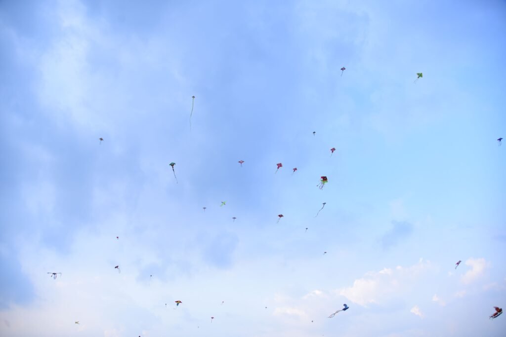 Winter Festivals in Jaipur: 7 Events and Their 2027 Dates 3 Colourful kites flying in a clear sky during a winter festival