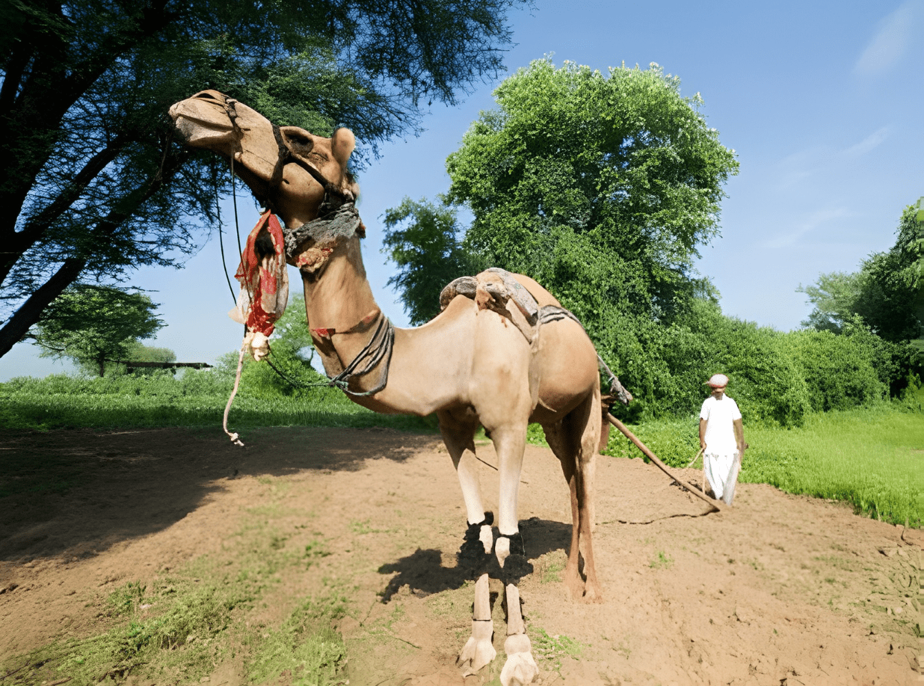 Quirky to the very core min