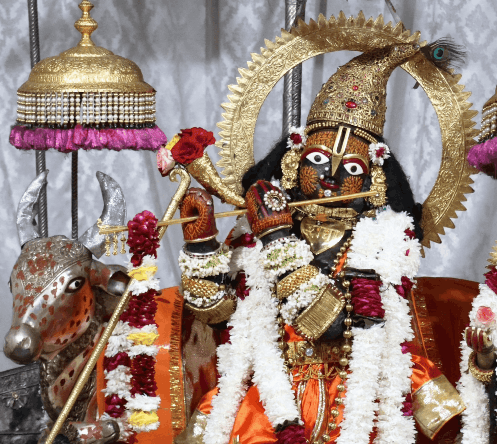 The Seven Jhankis Darshans scaled