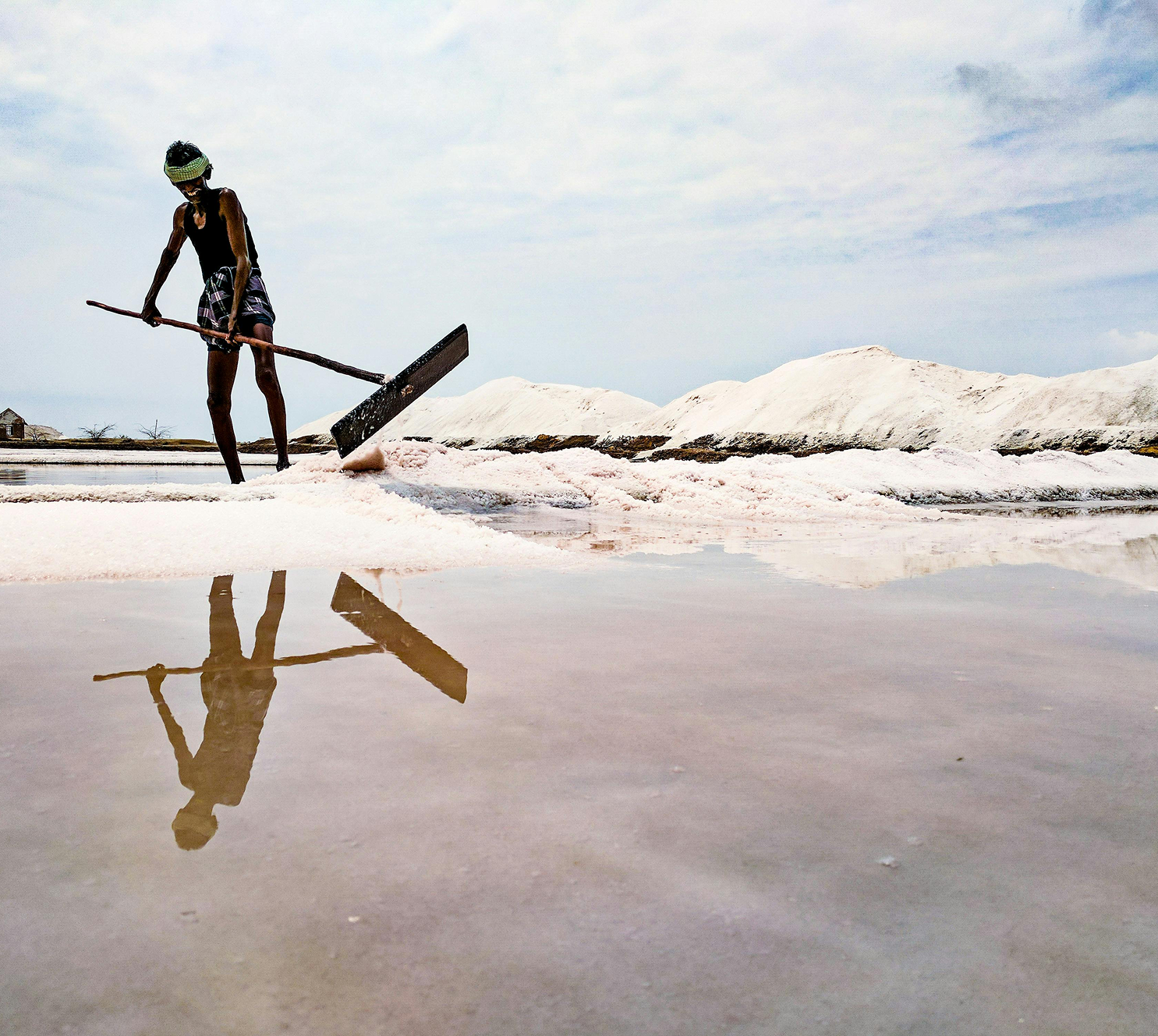 Pink Waters and White Salt Flats