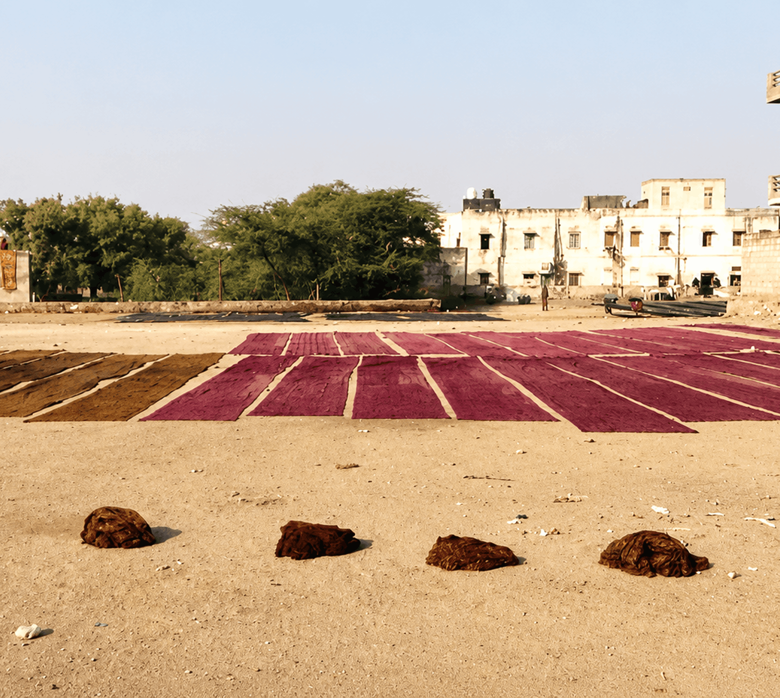 Bagru 8 A traditional fabric dyeing process in Bagru, a town in Rajasthan, India.