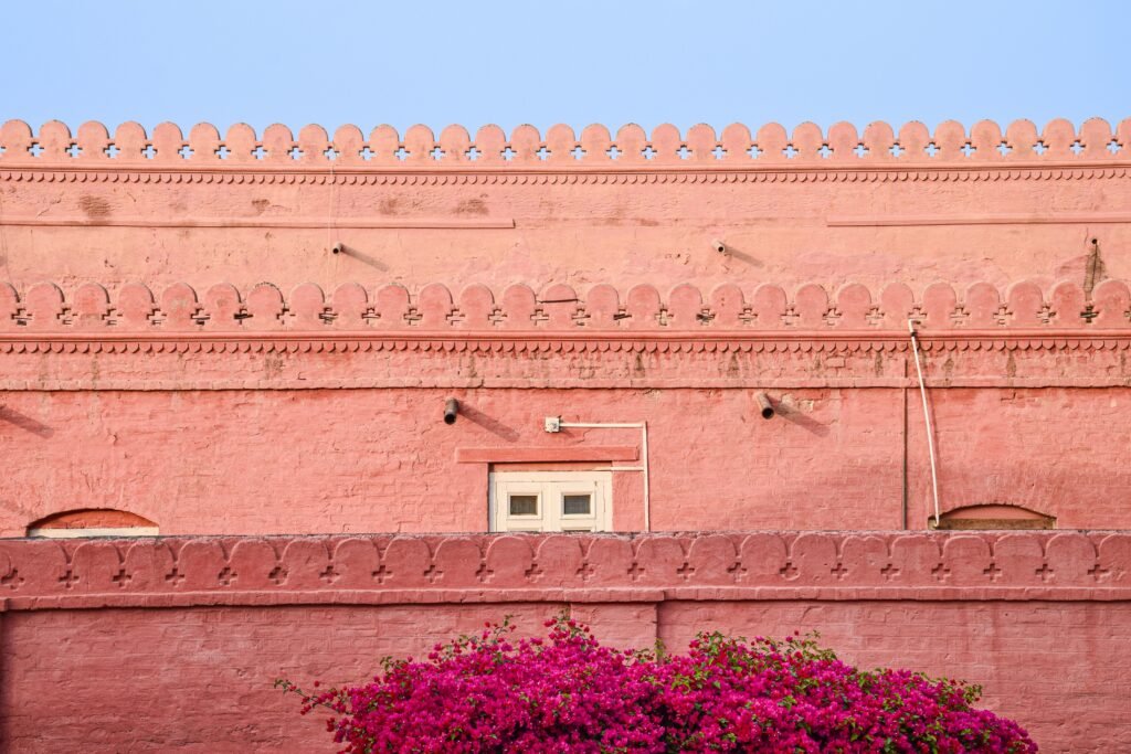 Weathered pink sandstone fort wall in Jaipur with old cannons and blooming bougainvillea