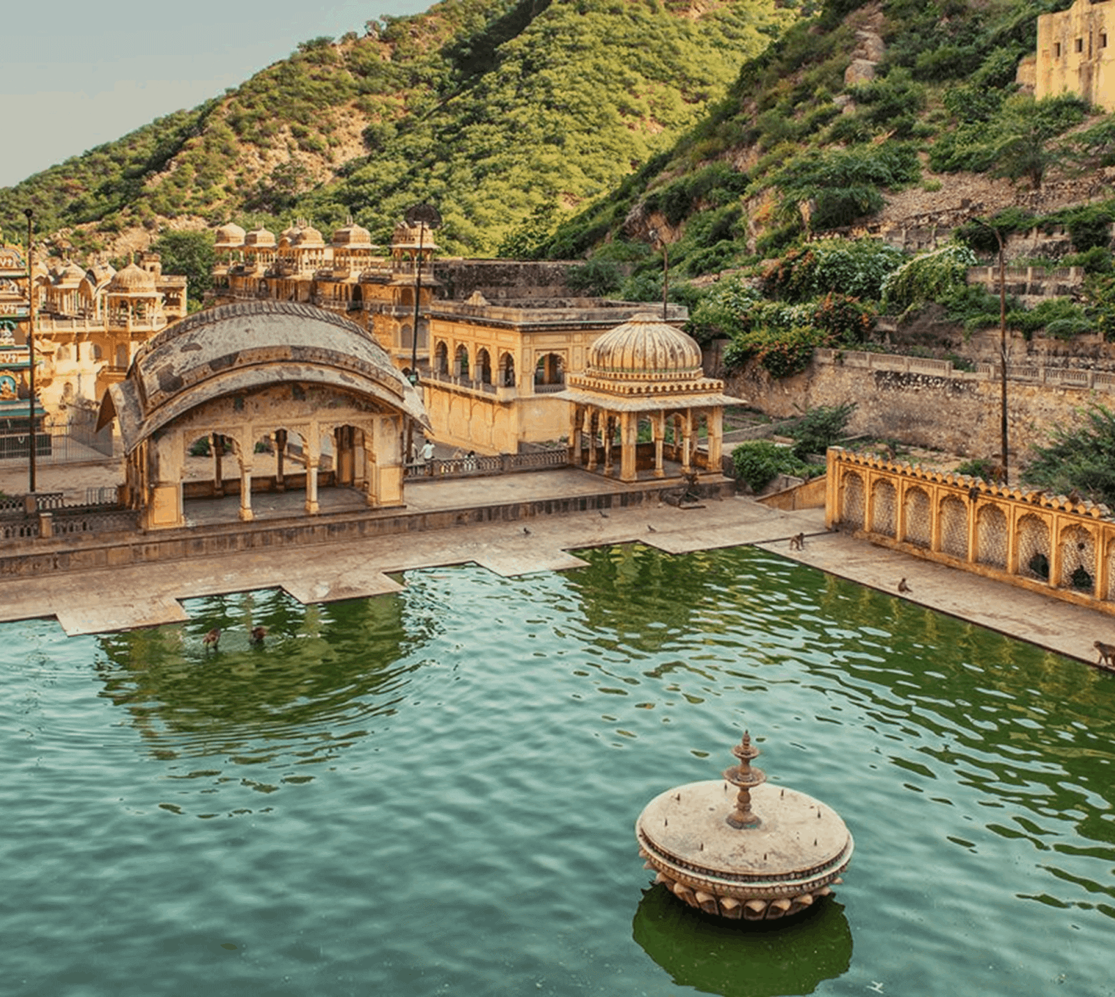 Green sacred tank at Galtaji Temple with a carved stone fountain, domed pavilions and monkeys on the ghats beneath forested Aravalli hills in Jaipur