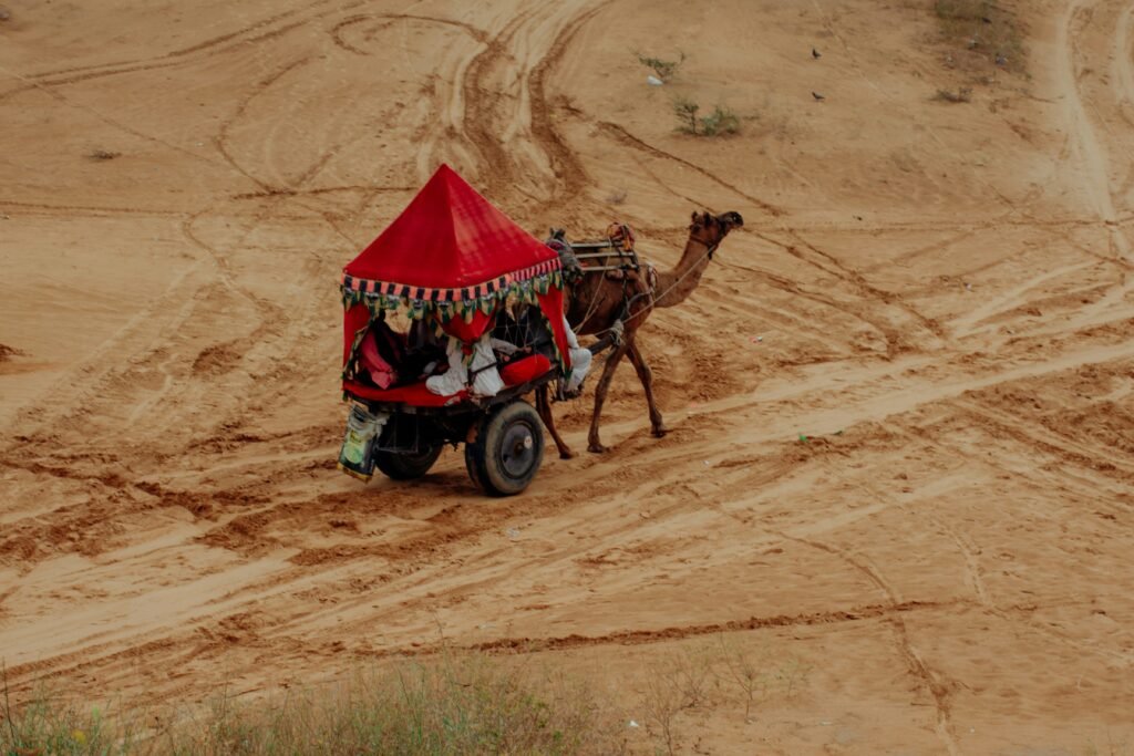 Why the Pushkar Fair Belongs on Every Rajasthan Trip 4 Getting to Pushkar from Jaipur